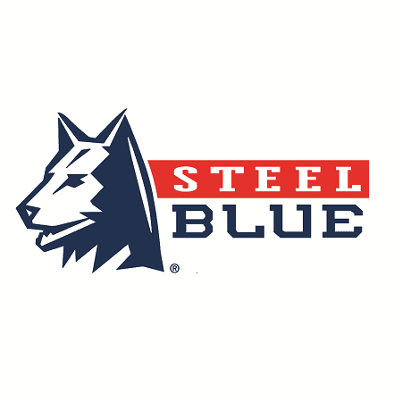 steel blue logo