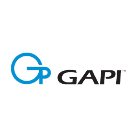 gapi logo