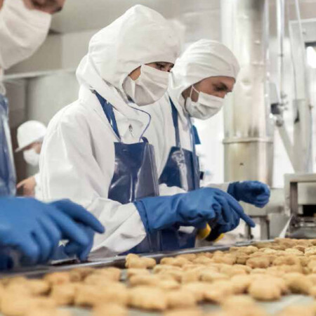 photograph of factory staff working at a conveyor belt of biscuit items