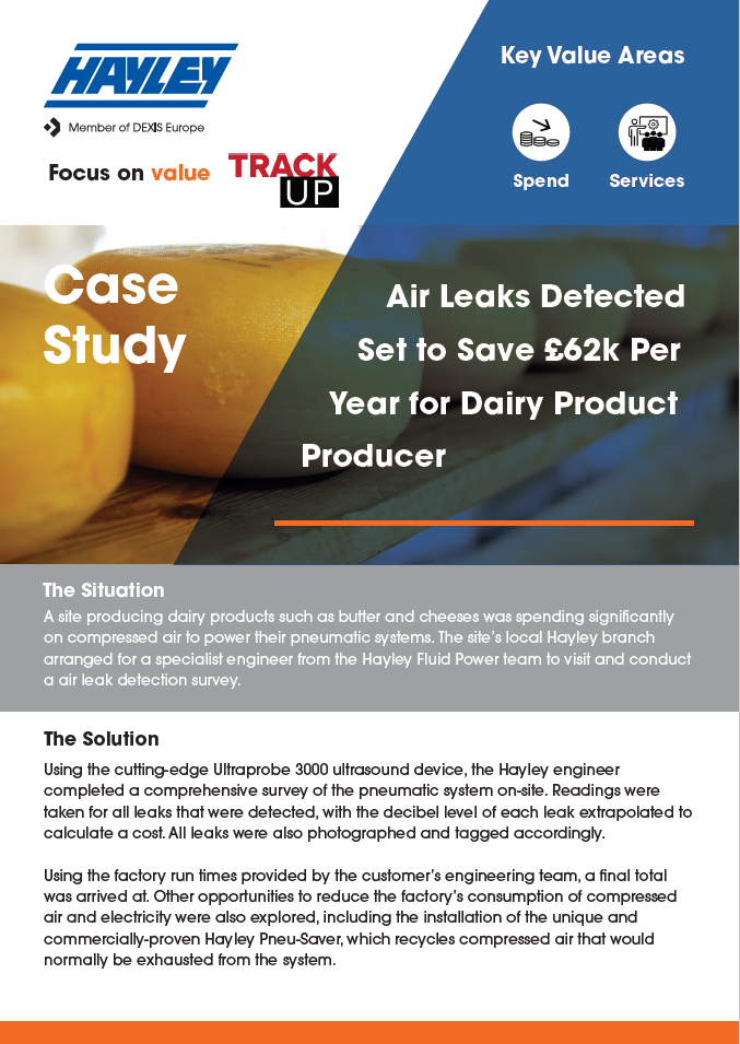 air leak survey at dairy product producing facility case study