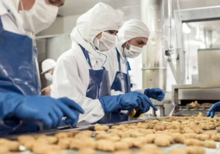 photograph of factory staff working at a conveyor belt of biscuit items