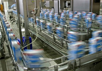 food factory conveyor belt system